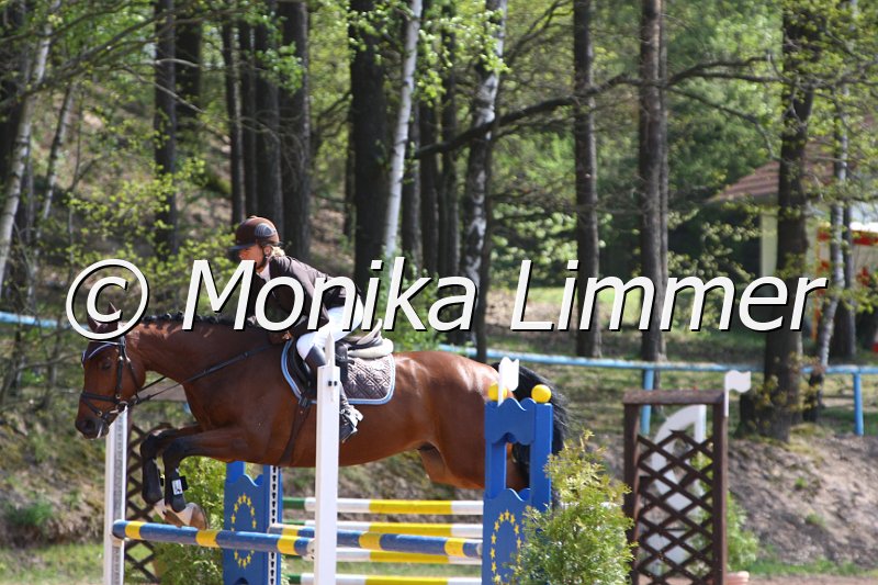 004M1859_Contendo_Springpferde A xx.JPG